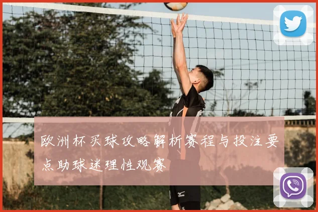 欧洲杯买球攻略解析赛程与投注要点助球迷理性观赛