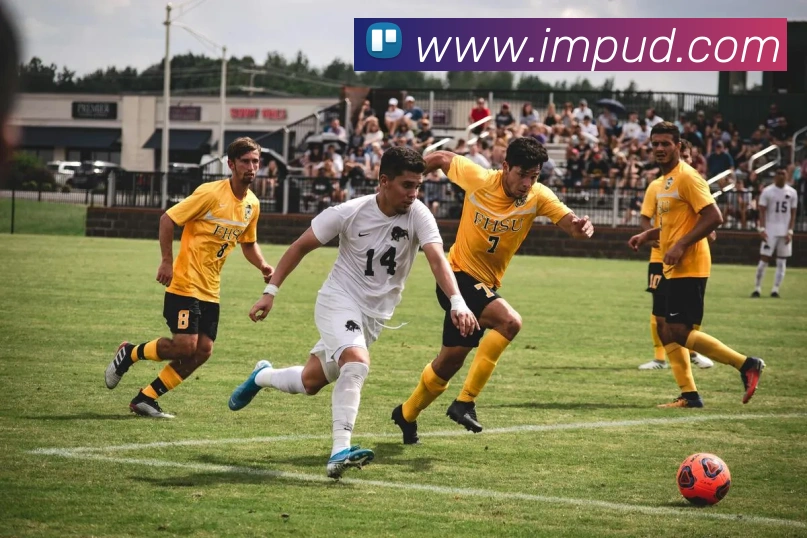 多媒体互动体验